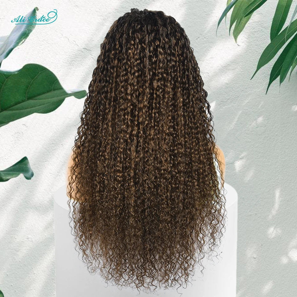#4 Brown Kinky Curly 13x4 Lace Front Wig | Brazilian Remy Hair | Pre-Plucked